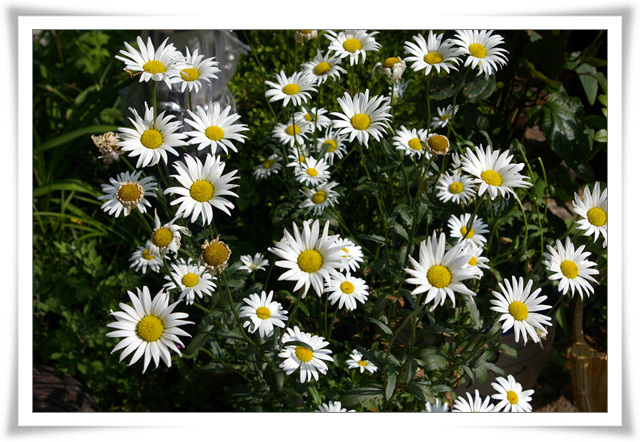 be7d176ca632d6f0f4869284080f0594.jpg